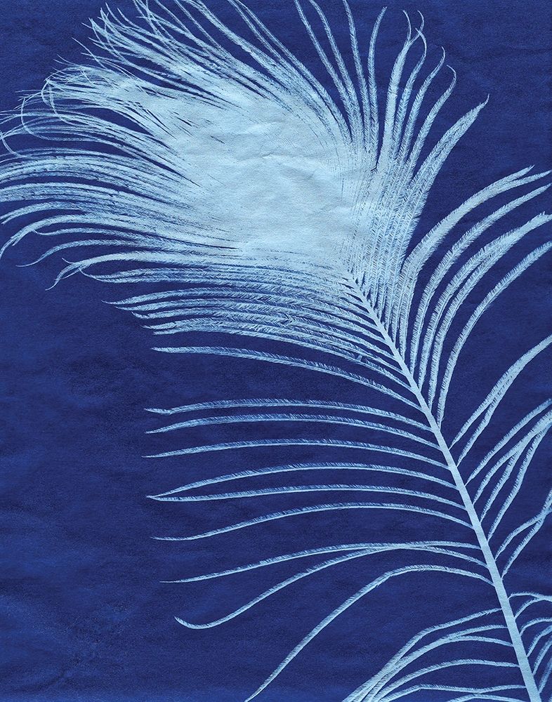 Indigo Feathers III