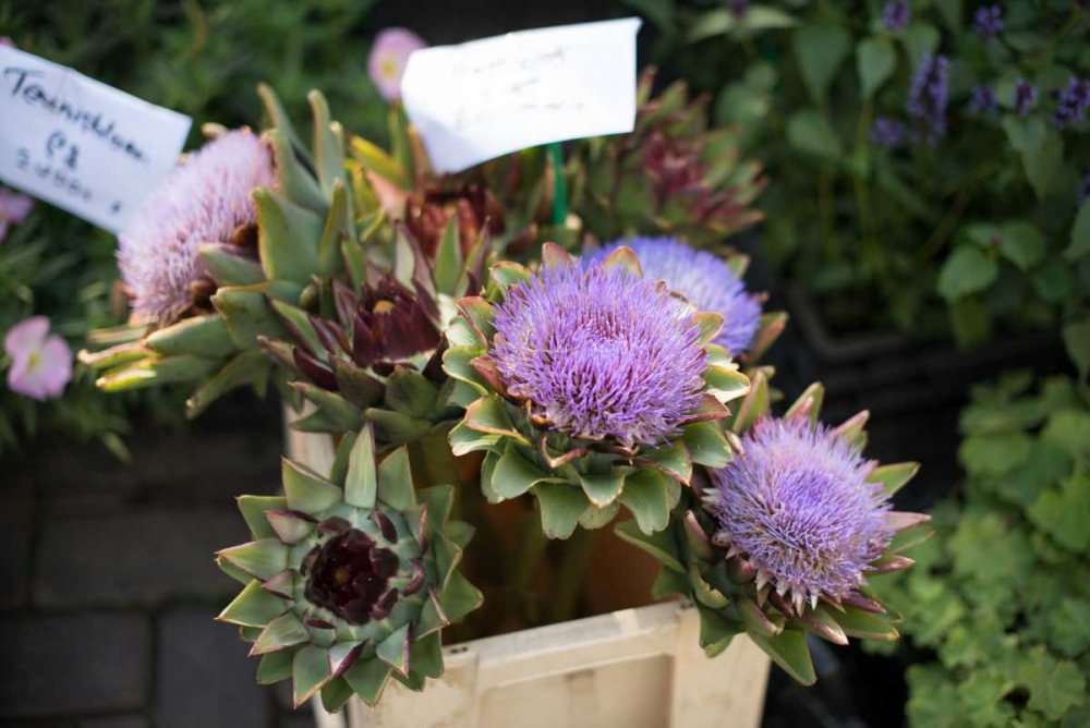 Farmers Market I