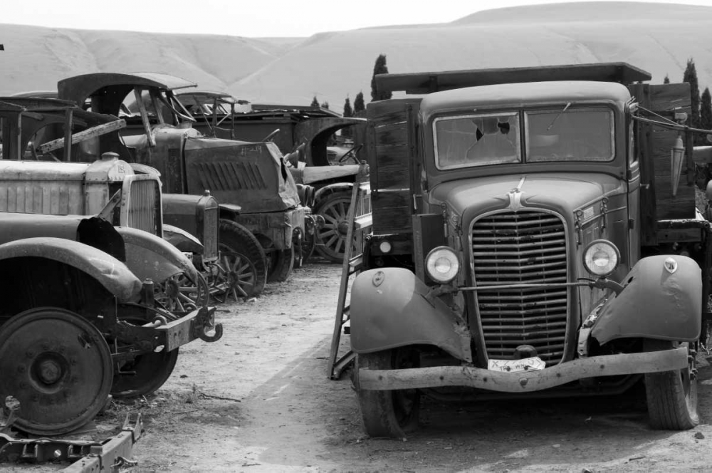 Antique Car Graveyard II