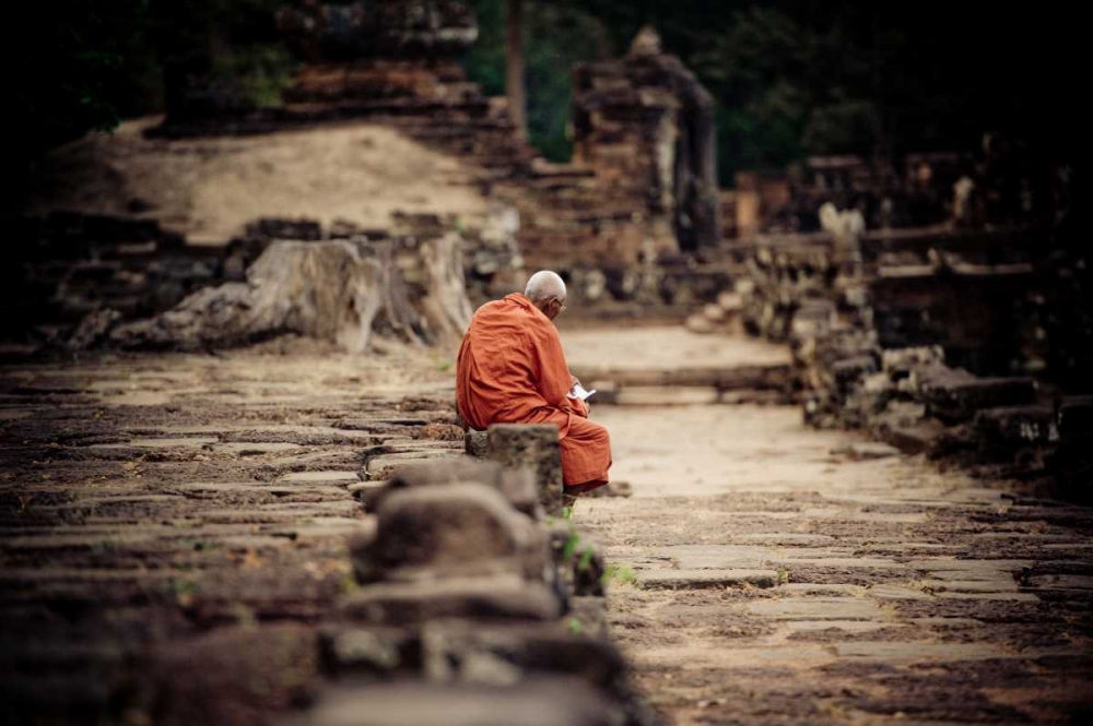 Elephant Terrace I