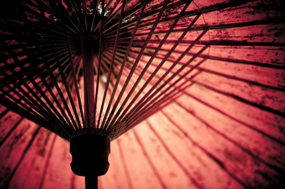 Cambodia Umbrella