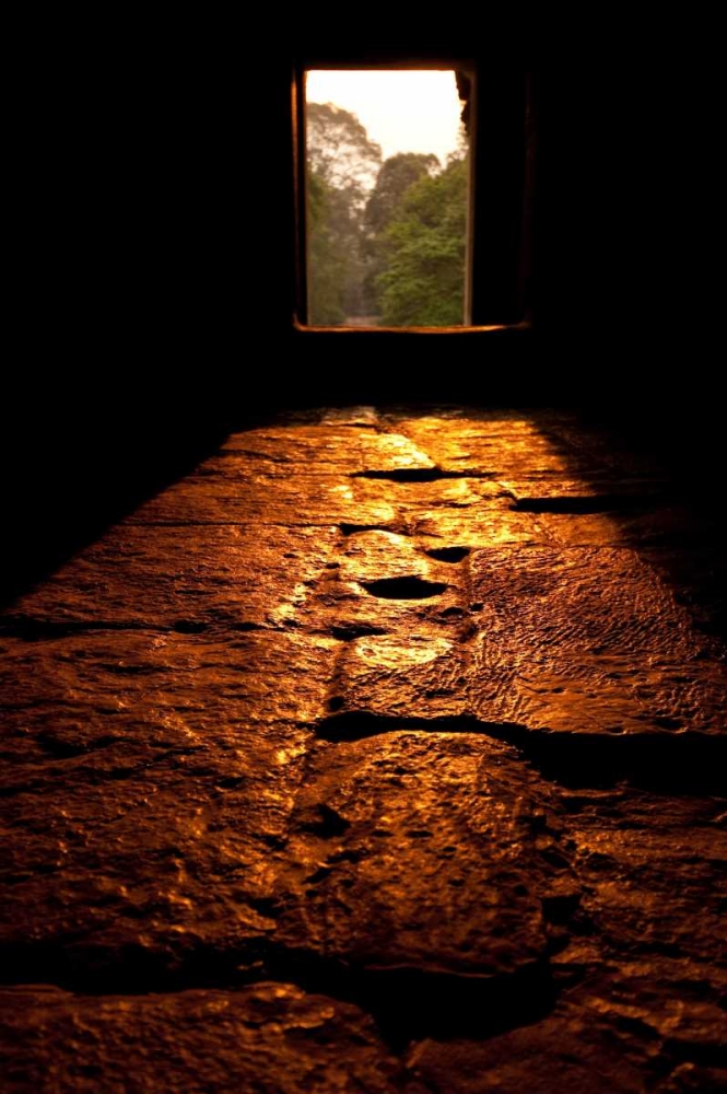 Morning Light II