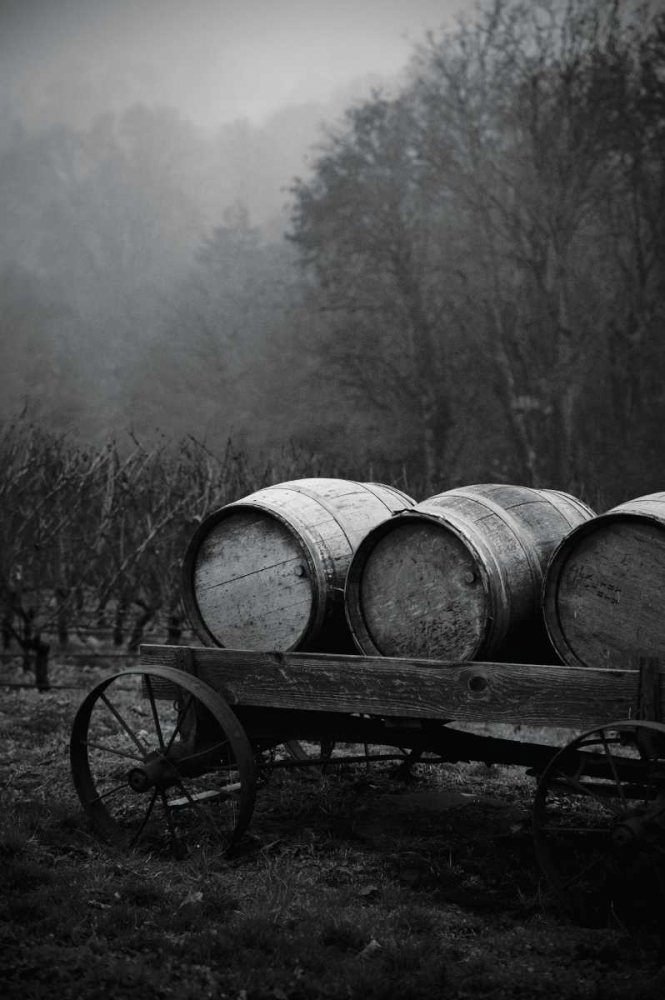 BW Oregon Wine Country II