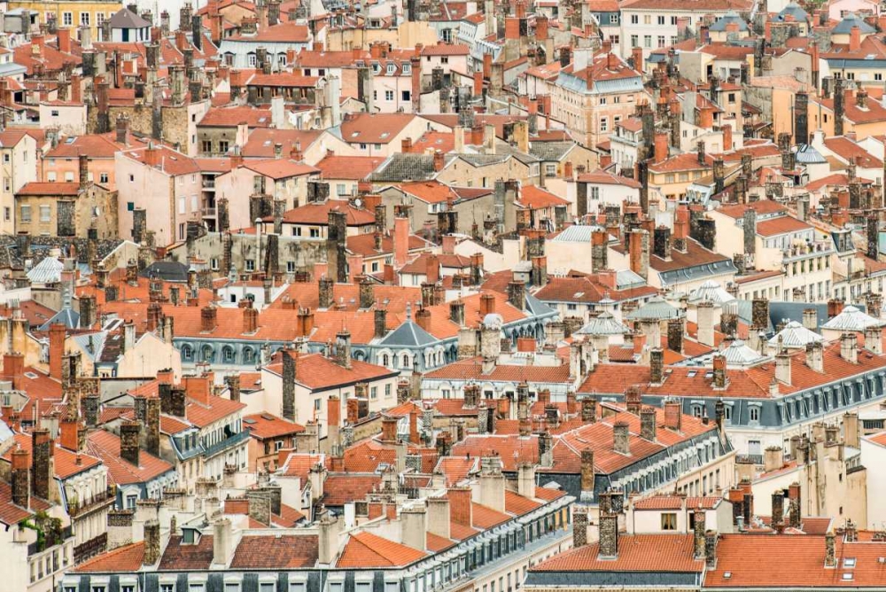Lyon Rooftops II
