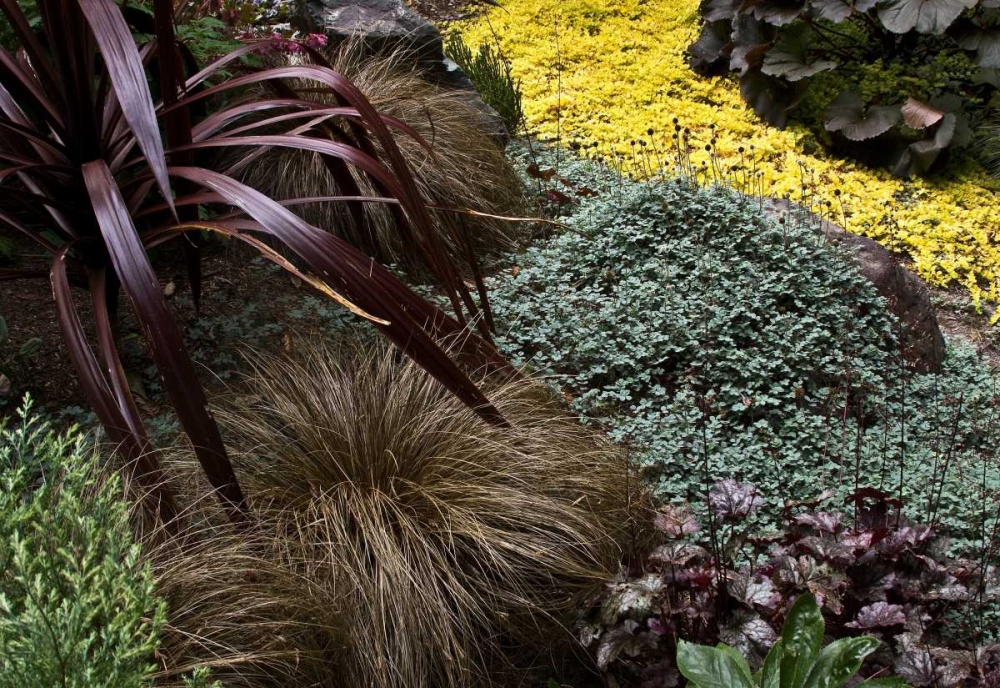 Garden Glimpse IV