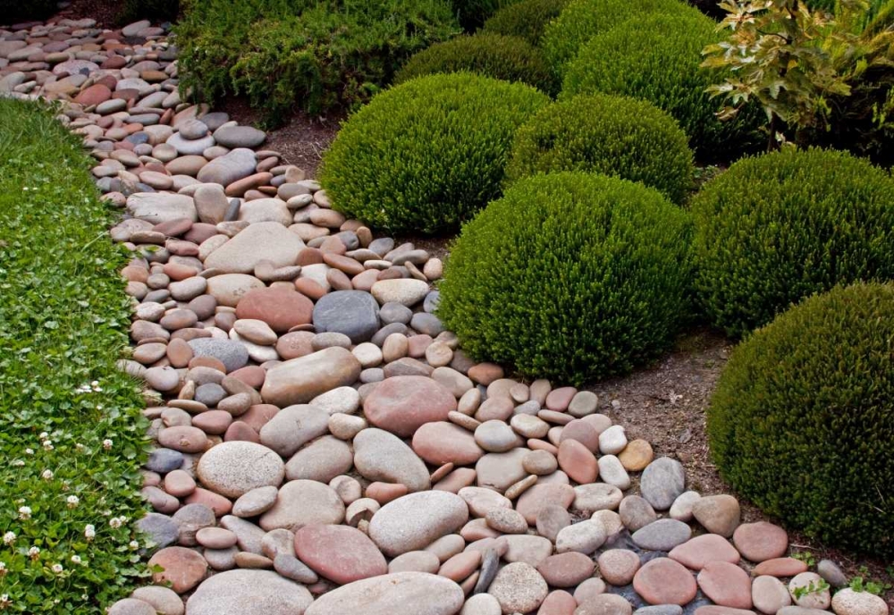 Garden Glimpse VII