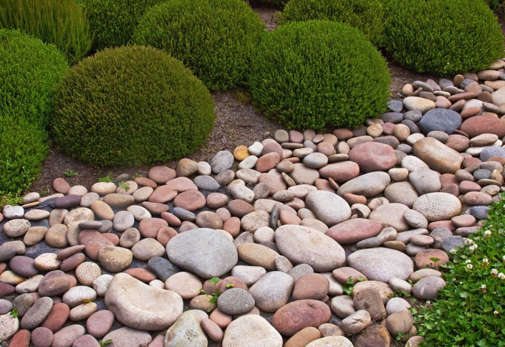 Garden Glimpse VIII