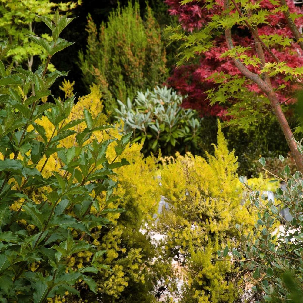 Garden Tapestry I