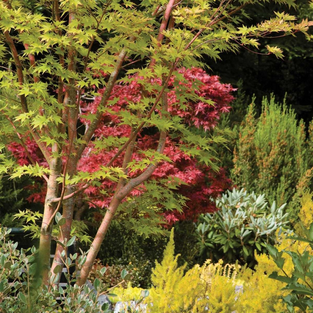 Garden Tapestry II