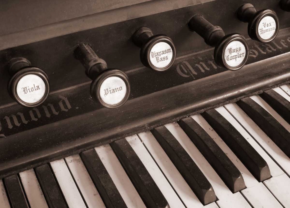 Organ I