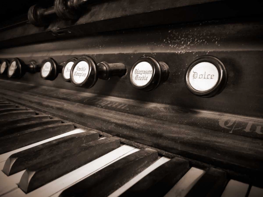 Organ II