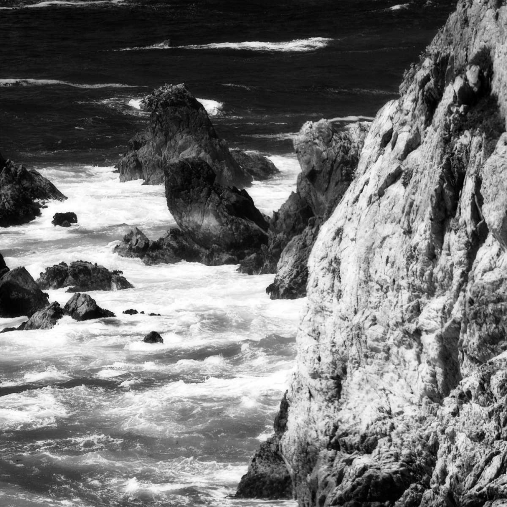 Garrapata 7 BW Square