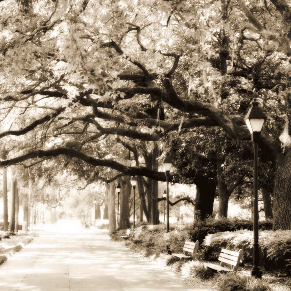 Savannah Sepia Sq I