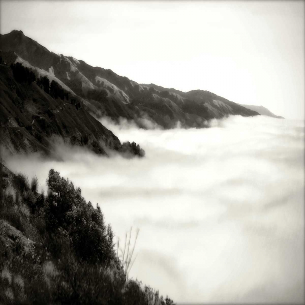 Pacific Fog Sq I
