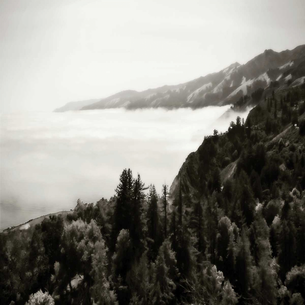 Pacific Fog Sq II