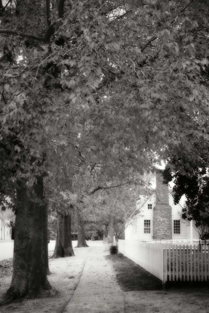 Small Town Autumn III