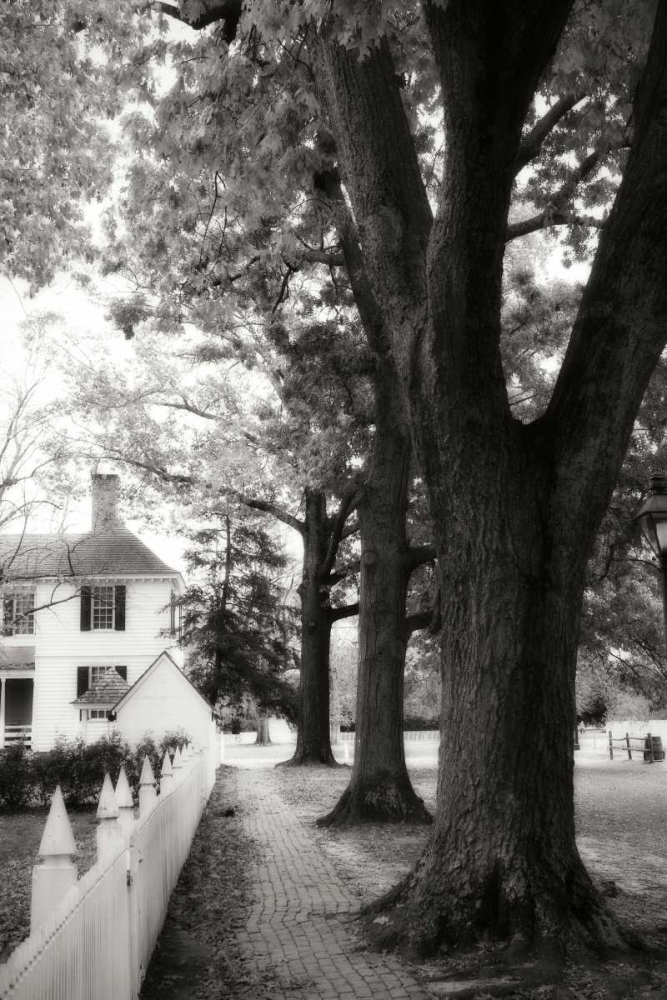 Small Town Autumn IV