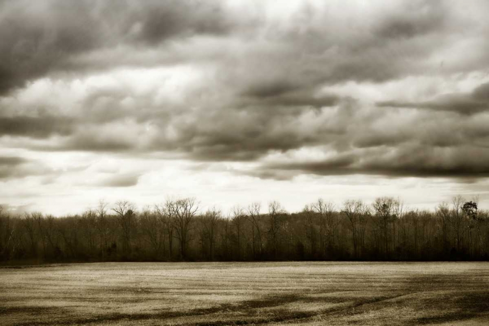 Winter Fields IV