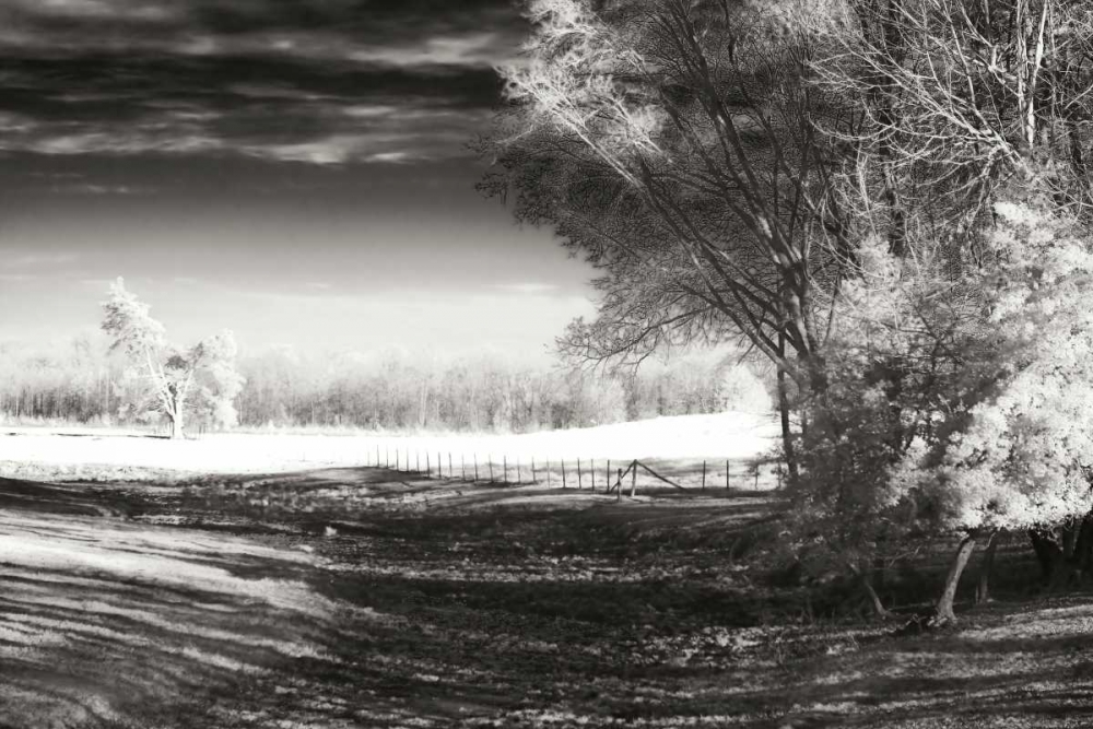 Dry Creek II