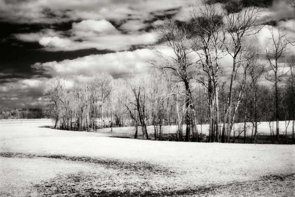 Hanover Winter I
