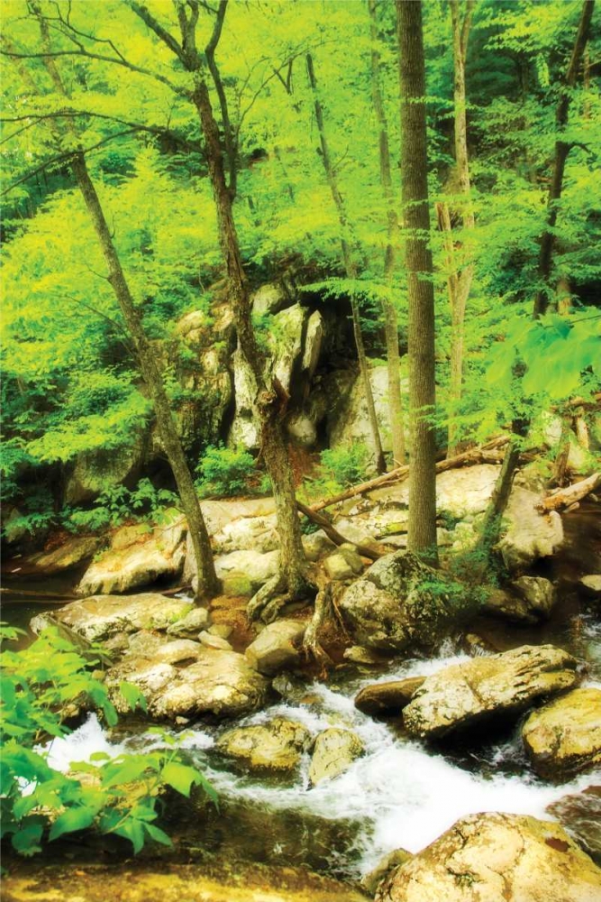 White Oak River II
