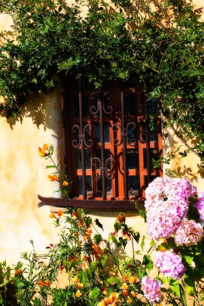 Mission Window
