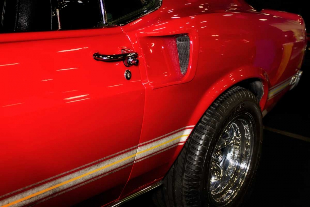 Mighty Mustang I