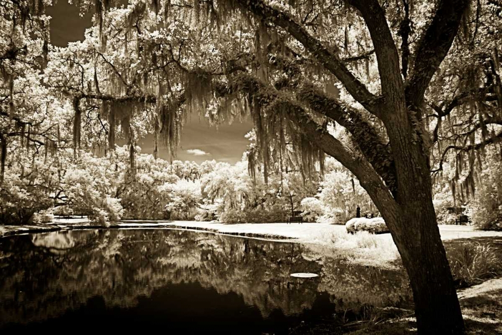 Walkers Pond II