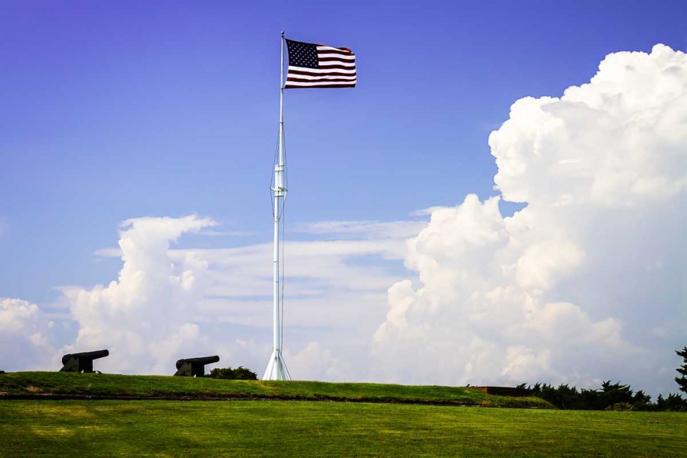 Ol Glory I