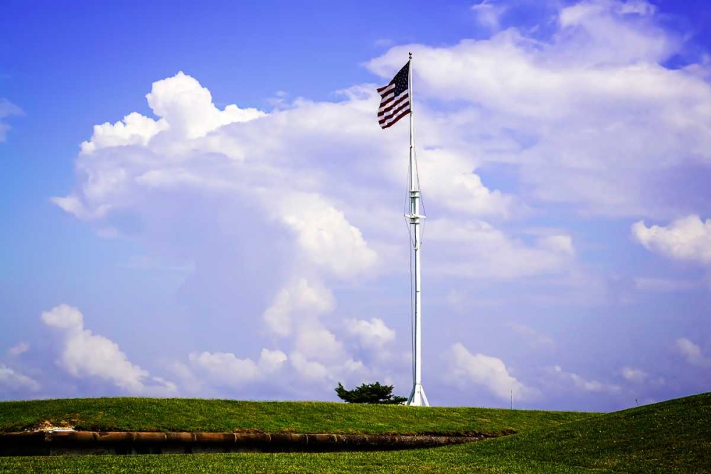 Ol Glory II