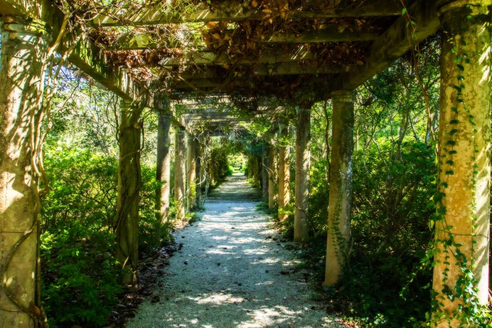 An Arbored Pathway
