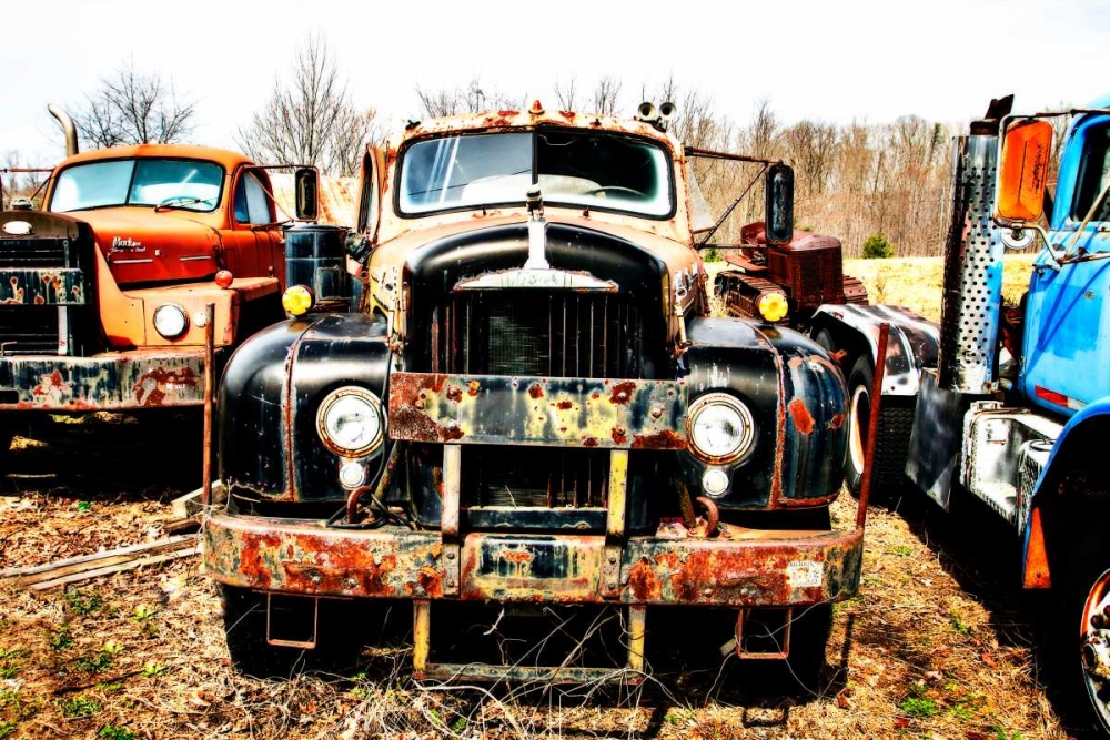 Truck Graveyard