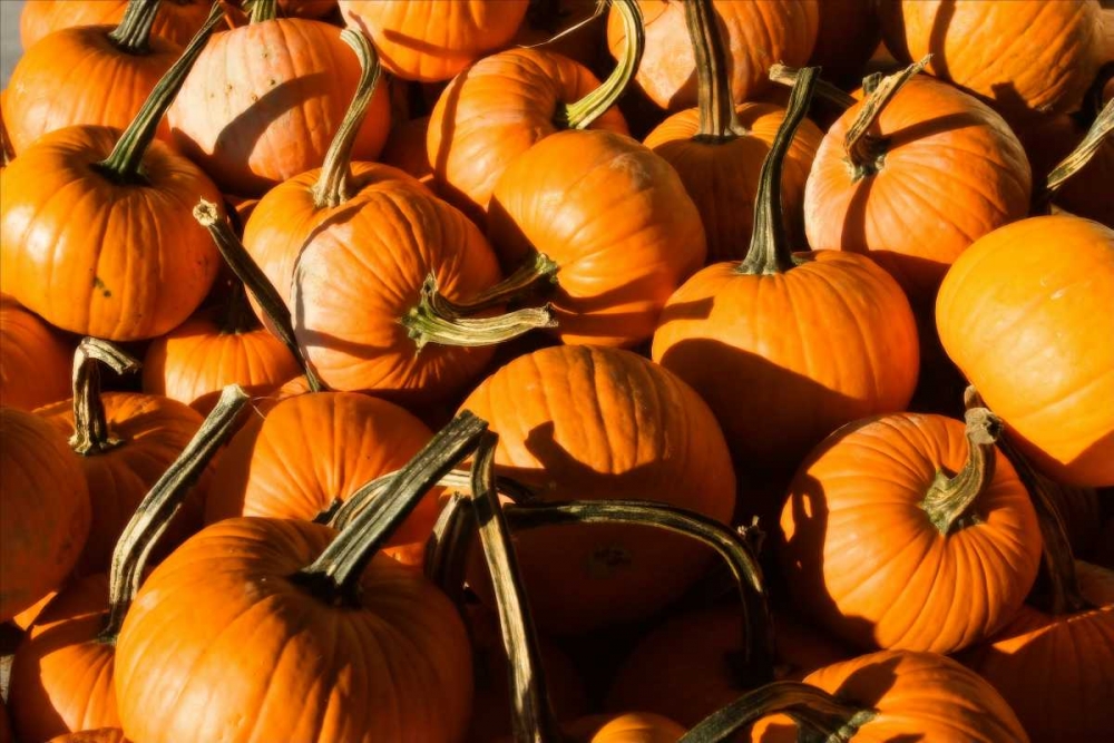 Pumpkins
