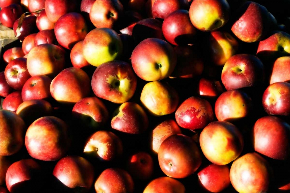 Apples