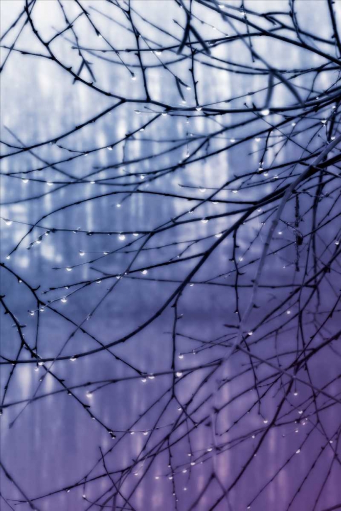 Droplets I