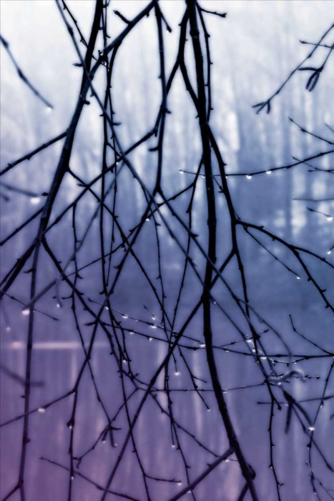Droplets II