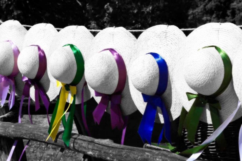 Fancy Hats I