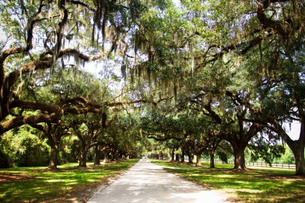 Charleston Oaks I