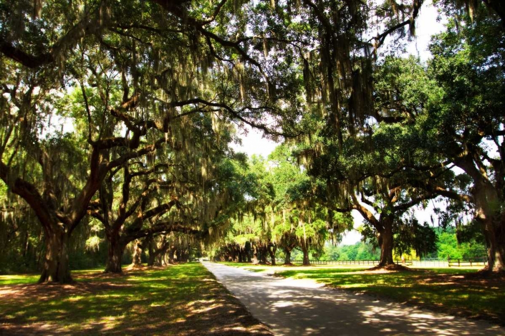 Charleston Oaks III