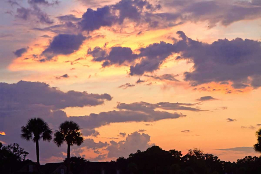San Marcos Sunset III