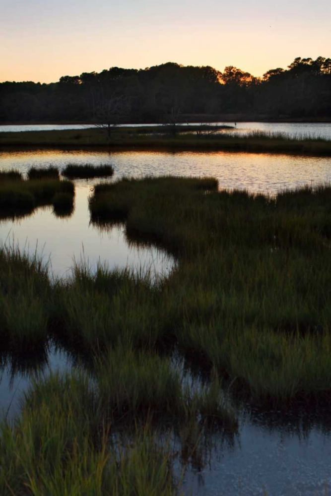 Captains Cove II