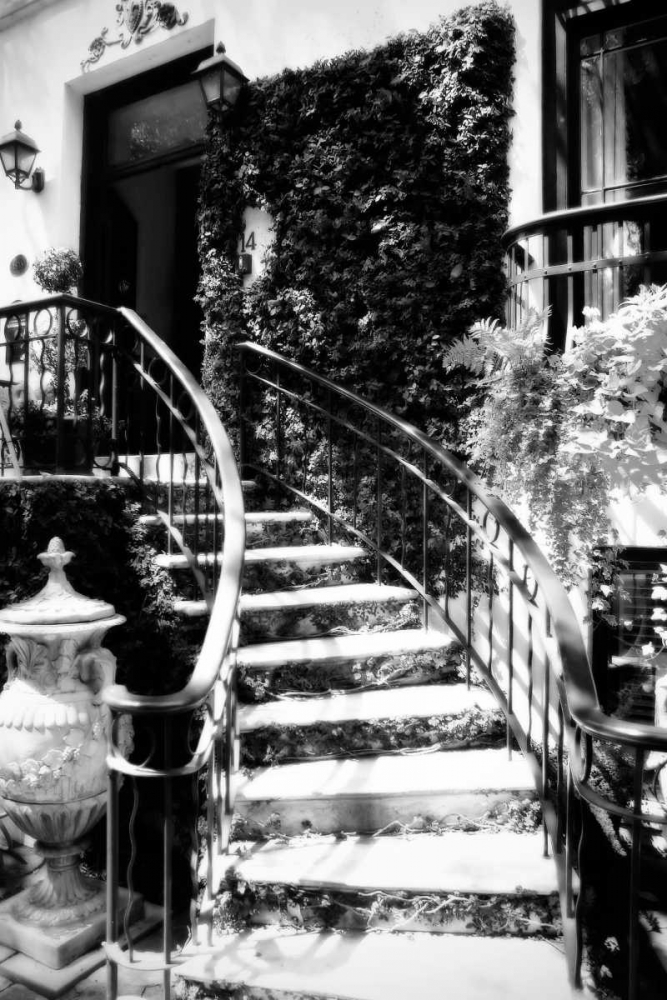 Savannah Style I