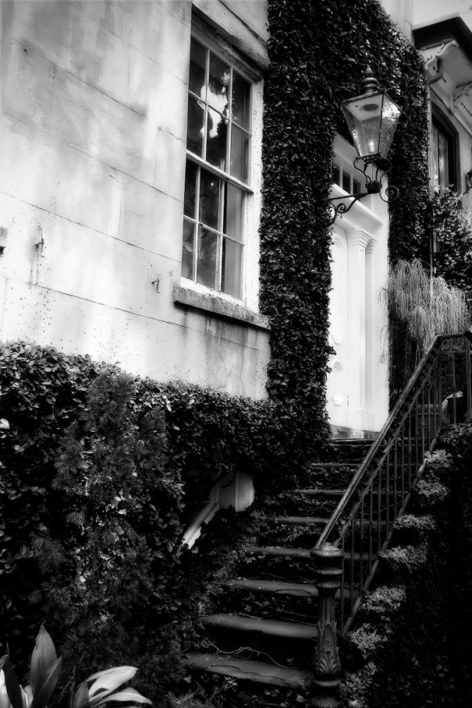 Savannah Style II