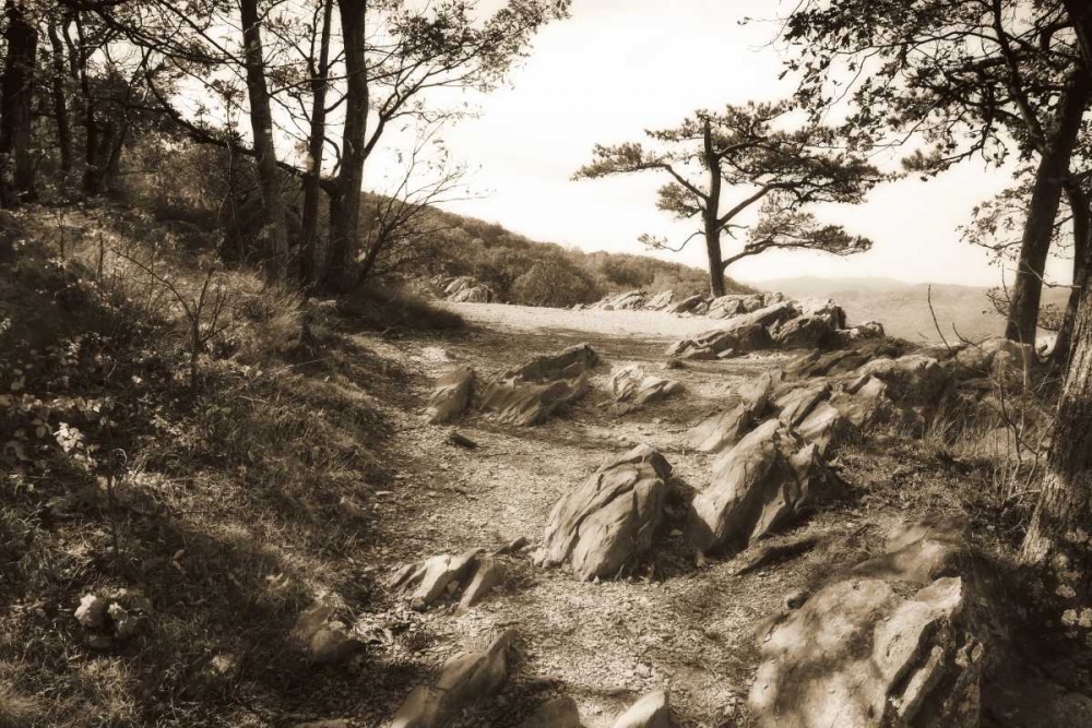 Stoney Ridge I Sepia