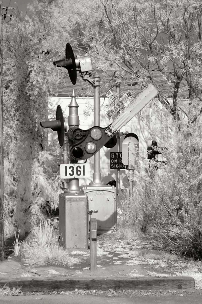 RR Signal II