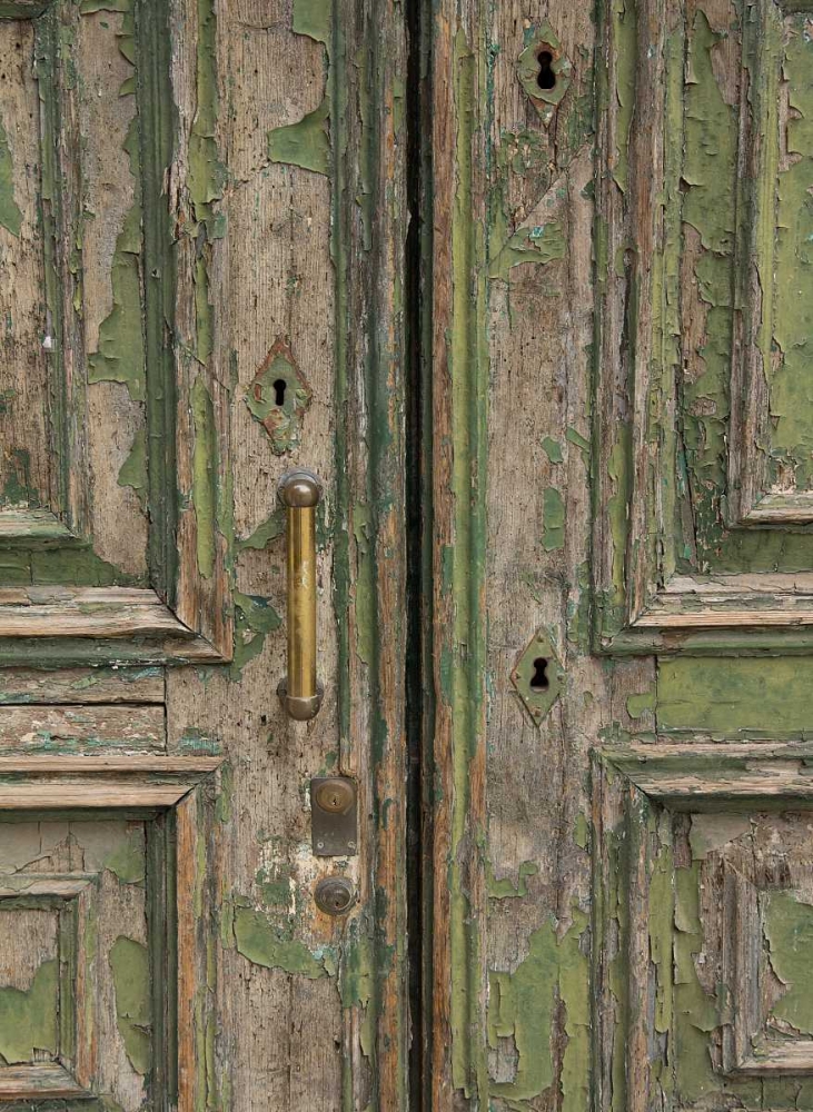 Venice Green Door