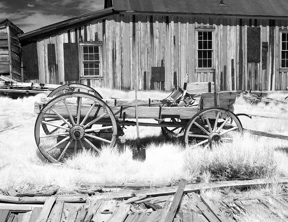 Bodie Wagon