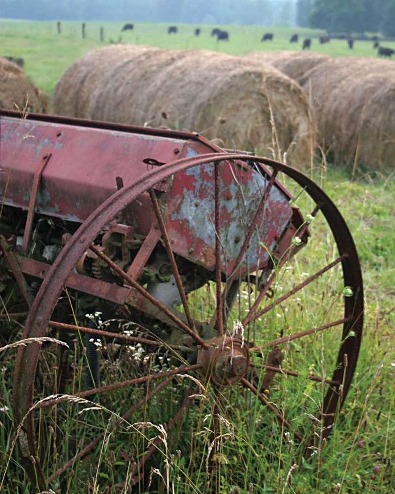 Sewing Seeds I
