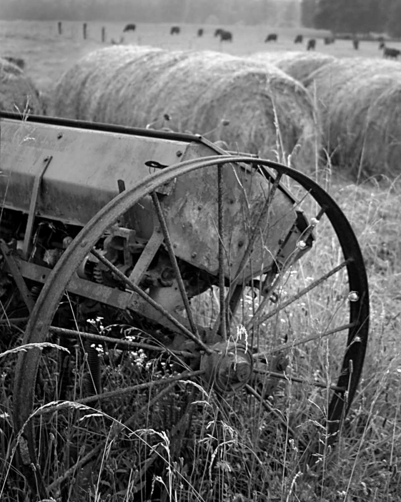 Sewing Seeds II