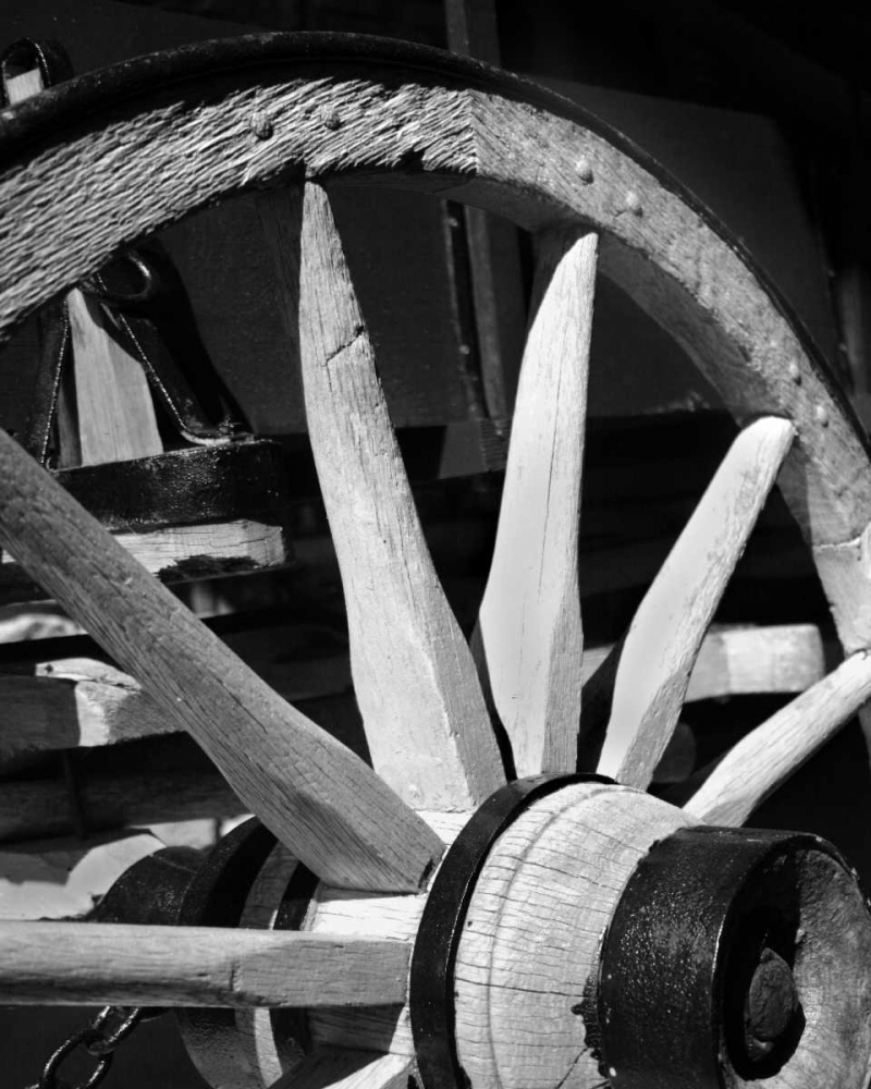 Wagon Wheel I